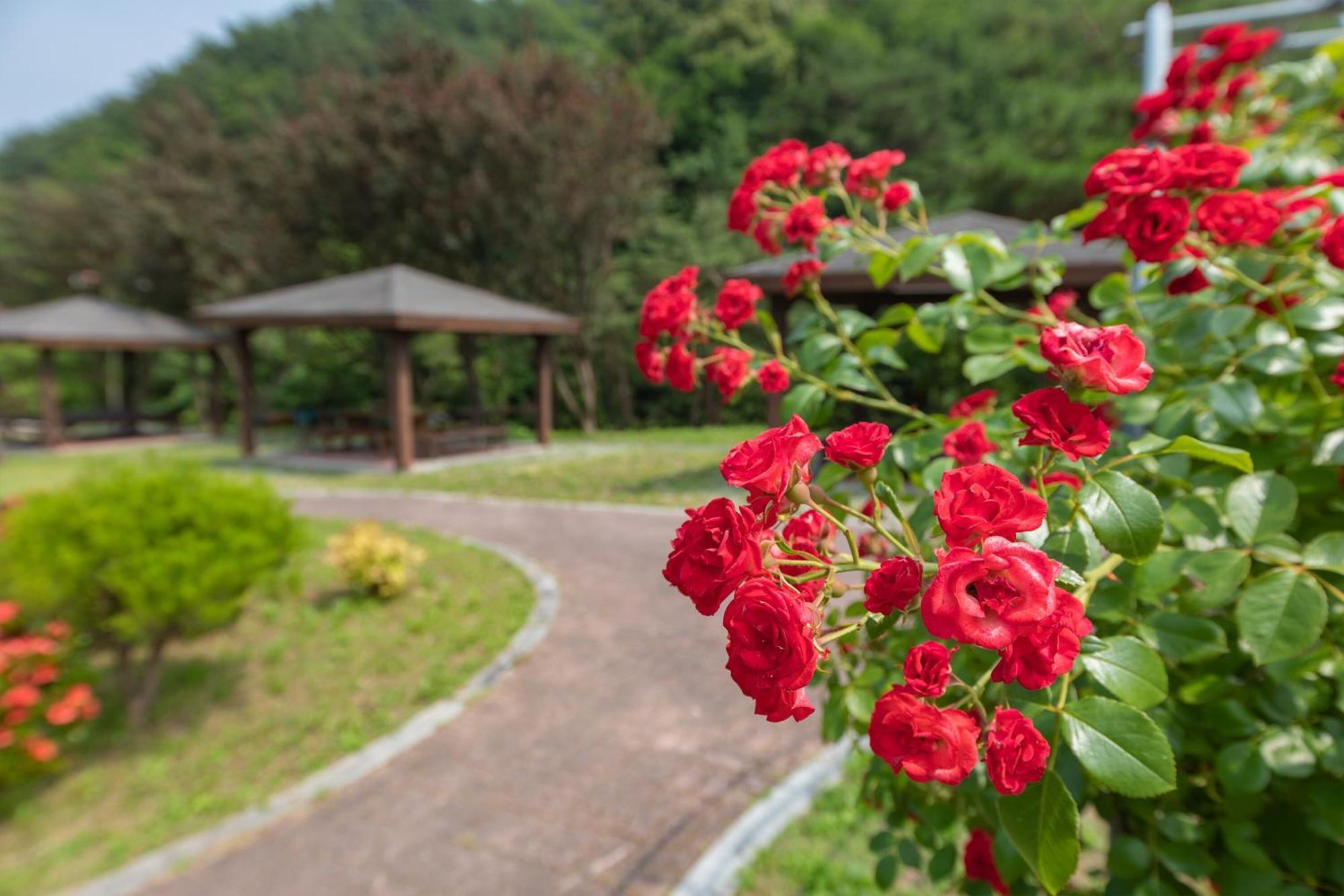 Gangneung Yasaenghwa Maeul Hotel Eksteriør billede